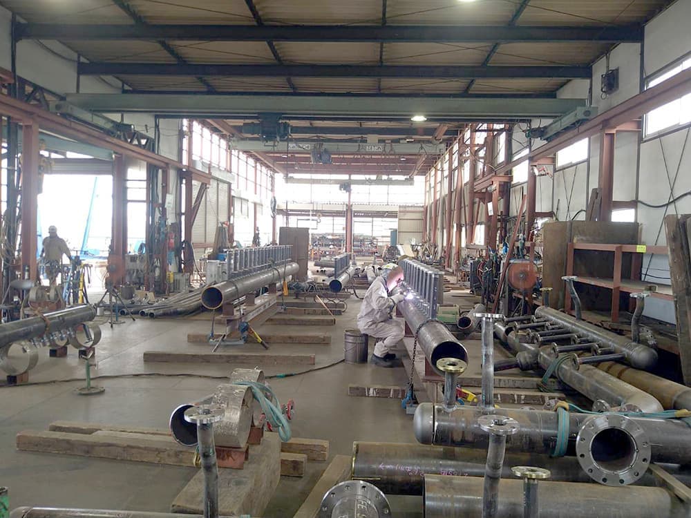 p5.jpg